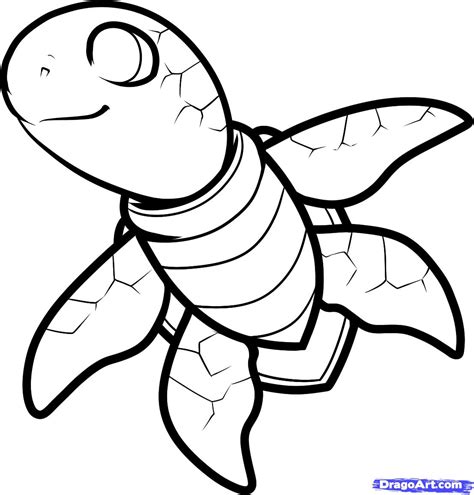 Step 8. How to Draw a Sea Turtle, Cartoon Sea Turtle