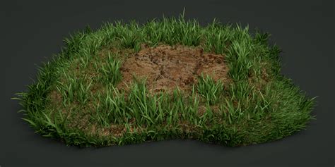 3d Asset A Detailed Model Of The Grass Cgtrader