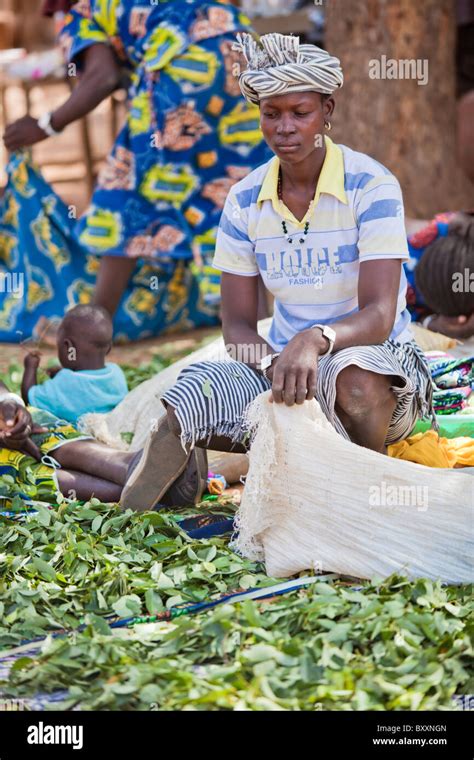 In The Town Of Djibo In Northern Burkina Faso Women Sell Greens In The