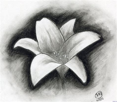 Image Result For Easy Shading Exercises Flowers Easy Charcoal