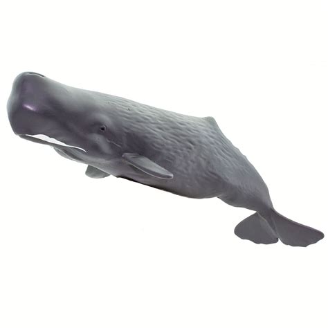 Sperm Whale Safari Ltd Animal Educational Toy Figure Ebay
