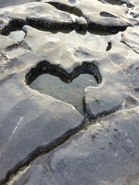 Water Heart Heart In Nature Heart Shaped Rocks Heart Pictures