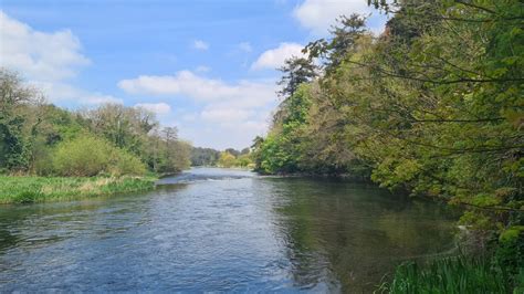 The Boyne River Oldbridge To Navan Fishing In Ireland Catch The