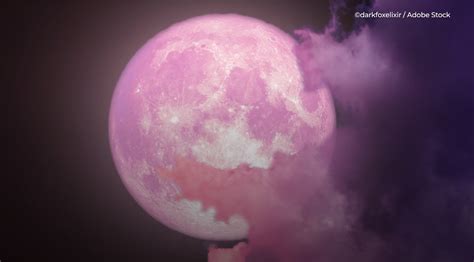 Ensuite, cette pleine lune d'avril est appelée lune rose par les tribus amérindiennes en raison de la floraison des fleurs à cette période de l'année, en particulier. La «Super Lune rose» sera visible cette nuit - Tout ce qu'il faut savoir sur ce phénomène ...