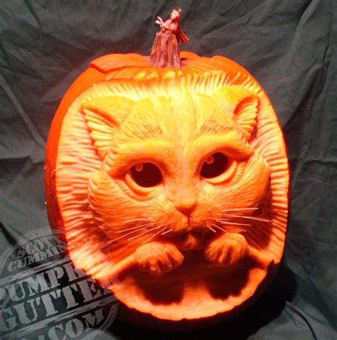 Extreme Pumpkin Carving Catster