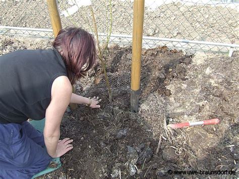 Gartentagebuch April 2009