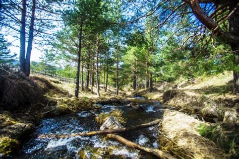 To je savrmeni hotel, čija arhiktetura se uklapa u ambijentalnu celinu. Hotel Borovi | Sjenica hoteli 2020 | Club Paradiso