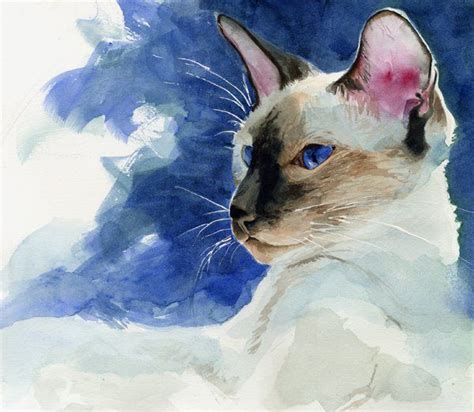 Siamese Cats By Rachel Parker Комментарии Liveinternet Российский