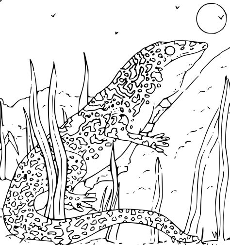 Use the download button to find out the full image of jungle animals coloring pages preschool printable, and download it to your computer. Jungle animals coloring pages, wild animals coloring book