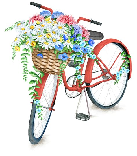 Pin By Светлана On Картинки на белом фоне Flower Painting Bicycle
