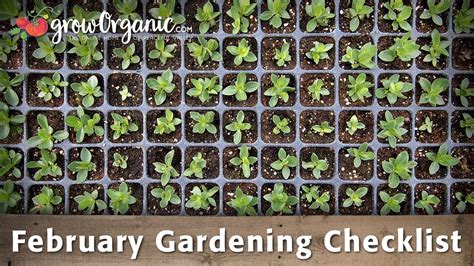 February Gardening Checklist 10 Tips To Help Get Your Organic Garden