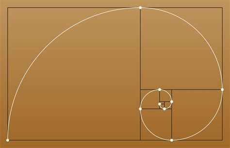 Golden Ratio Geometric Shapes Circles In Golden Proportion Vector