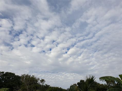 Cloud report: A few Stratocumulus perlucidus clouds at 1,090m. Brisbane ...