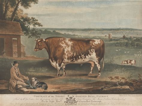 these livestock portraits were the ultimate displays of wealth in 19th century britain