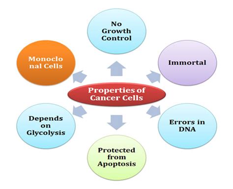 Characteristics Of Cancer Cells Easybiologyclass