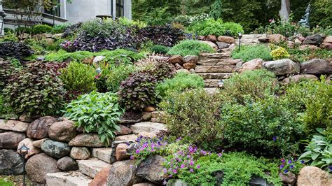 7 Smart Ways To Stop Erosion In Your Yard