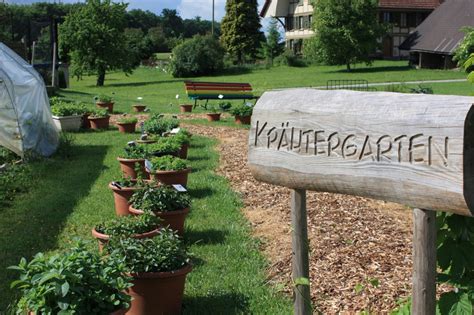 Bärlauch kommt, schnittlauch auch, die pfefferminze schickt sich an, petersilie, thymian und citrusthymian haben wir gepflanzt. Kräutergarten - kneipp