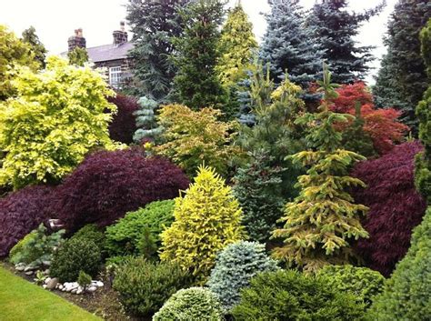 Beautiful Combo Of Colors And Textures Evergreen Landscape Front Yard
