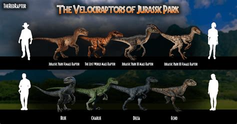 The Velociraptors Of Jurassic Park What Is Your Favorite Jurassicpark