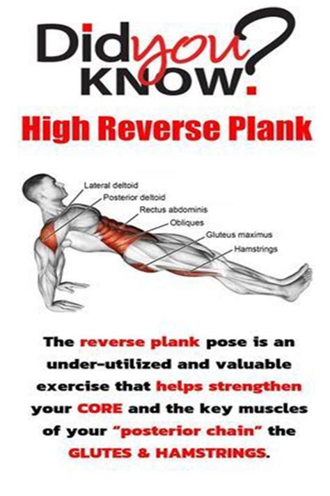 Reverse Planks That Help Strengthen The Core And Lower Body Artofit