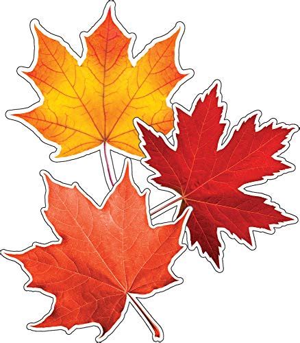 Schoolgirl Style Fall Leaves Cutouts 36 Colorful Leaf Cutouts For