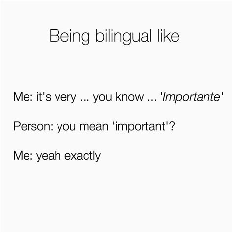 Polyglot Bilingual Languages Bilingual Humor Funny Relatable