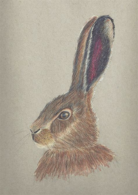 Shirley Bomgaars Online Art Show - Port Ludlow Art League