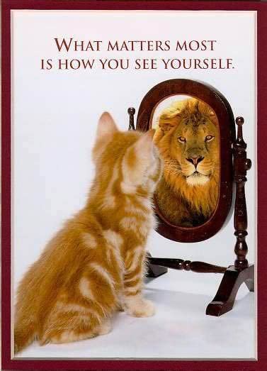 Cat Sees Lion In Mirror Represents Inner Strength And Courage Be