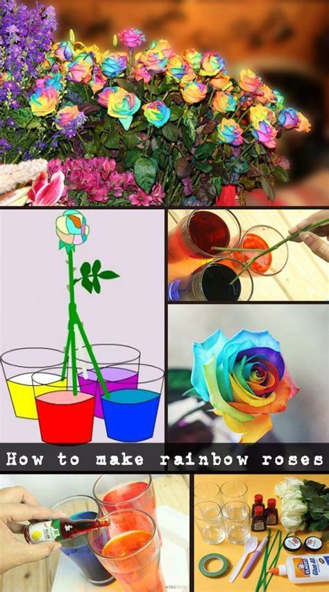 How To Make Rainbow Roses