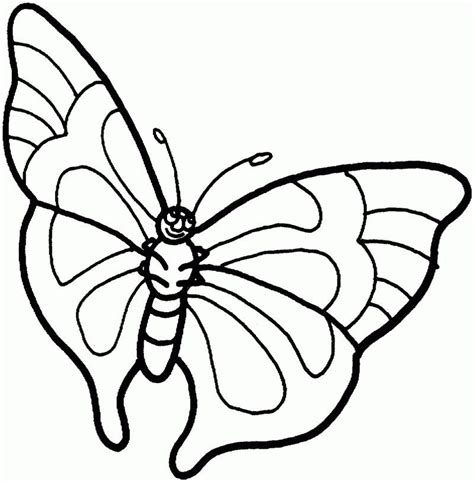 Cool Butterfly Coloring Pages Ideas For Girls And Boys