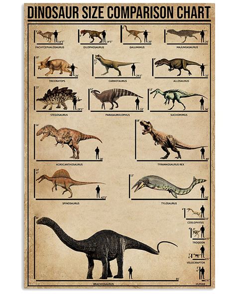 Dinosaur Size Comparison Chart