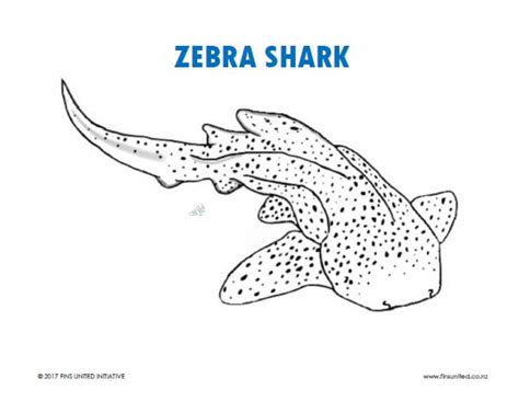Lobster, crab, clown fish, starfish, octopus, tuna, sea urchin, seal, orca, beluga whale, and shark. Zebra Shark Coloring Page | Share My Lesson