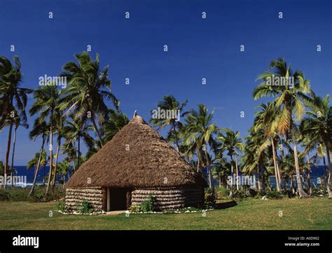 New Caledonia Lifou Islands Traditional Thatched Roof Hut Palm Trees