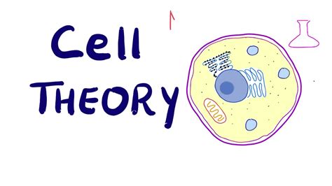 Cell Theory The Cellular Basis Of Life Medical Yukti
