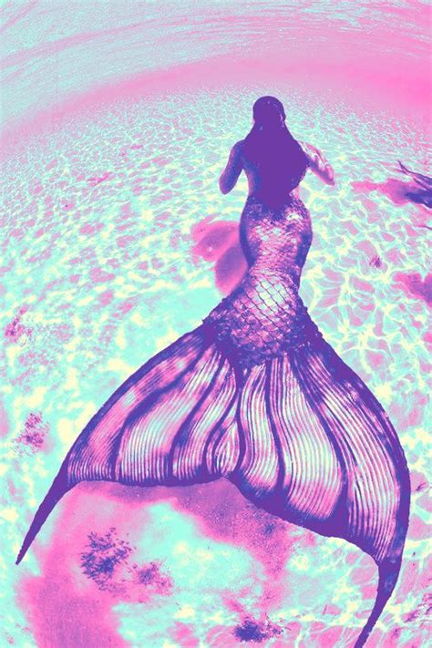 Mermaid Pink Mermaid Tail Mermaid Pictures Pink Mermaid