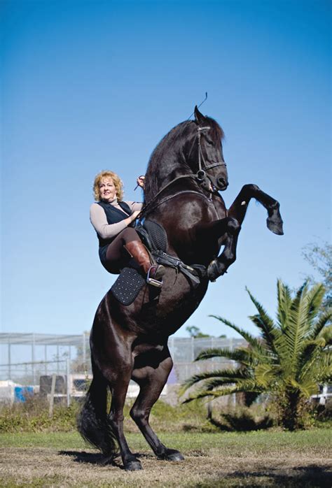 I grew up having to drive everywhere. This Place Is a Zoo | VICE | United States