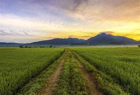 Pertumbuhan sebanyak 5.8% setahun dalam. Kebergantungan Malaysia terhadap import makanan ...