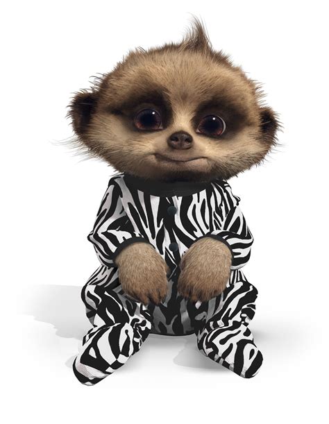 Baby Oleg Safari Compare The Meerkat Baby Meerkat Cute Funny