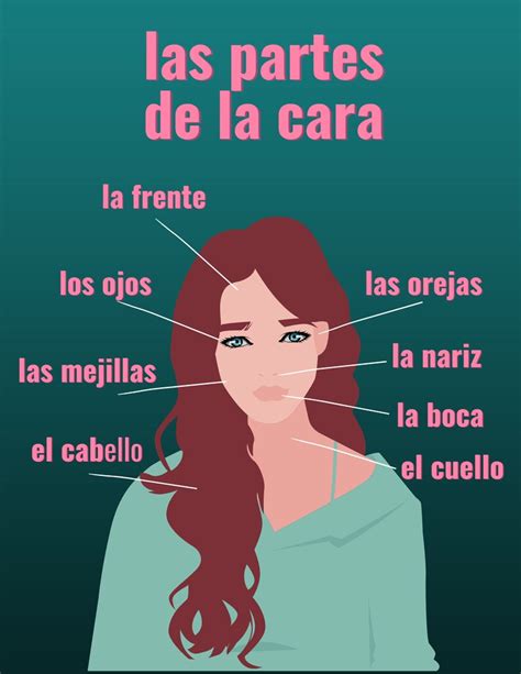 Parts Of The Face In Spanish Partes De La Cara Body Parts Spanish