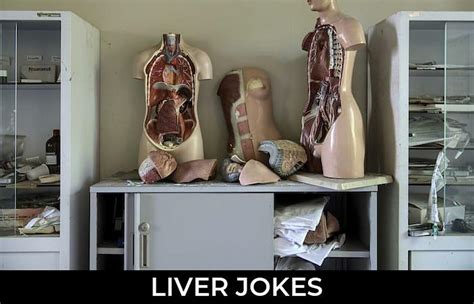 124 Liver Jokes And Funny Puns Jokojokes