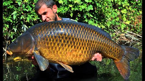 River Carp Fishing In Autumn By Christophe Saint Jean Youtube