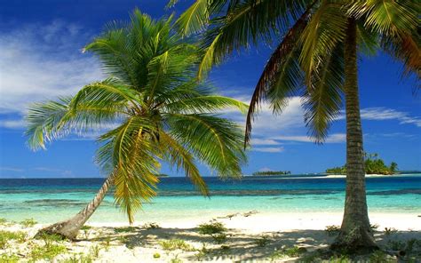 1132683 Landscape Sunset Sea Bay Nature Sand Beach Coast Palm