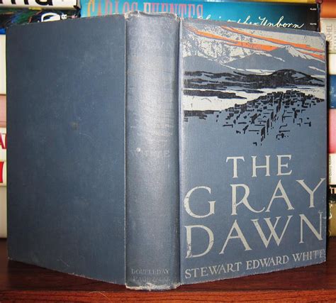 The Gray Dawn Stewart Edward White Thomas Fogarty First Edition
