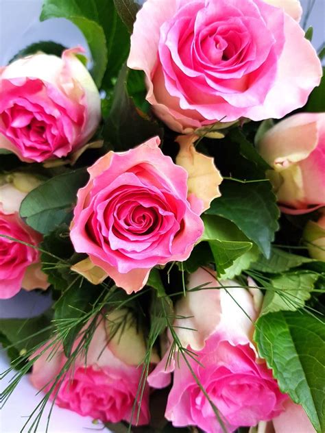 Flowers That Go With Roses In A Bouquet Bouquet Of Pink Roses In Vase