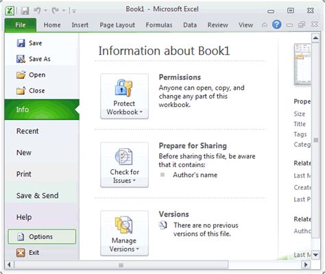Ms Excel 2010 Open The Visual Basic Editor
