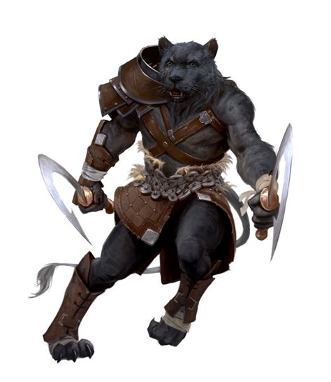 Male Catfolk Rogue Stalker Prrall Pathfinder 2e Pfrpg Pfsrd Dnd Dandd