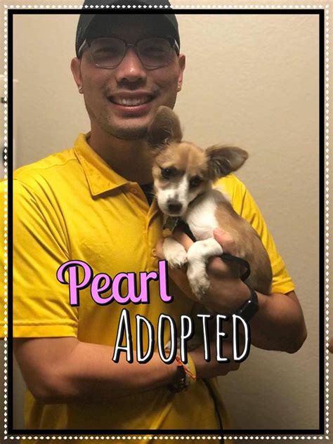 ADOPTED! - PAW PROMISE ANIMAL RESCUE