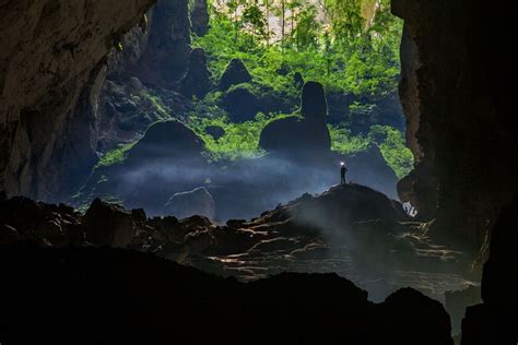 The Forest Beneath Underground Caves World Vietnam