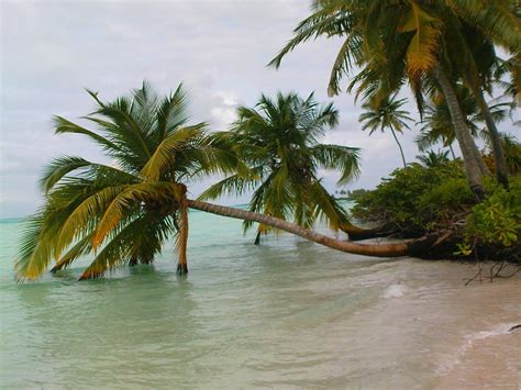 2880x1800 Maldives Tropical Beach Palm Trees Sand Wallpaper