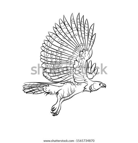 Flying Harpy Eagle Line Drawing Vector Stock Vector Royalty Free